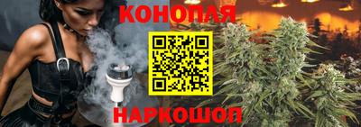 mdma Аргун
