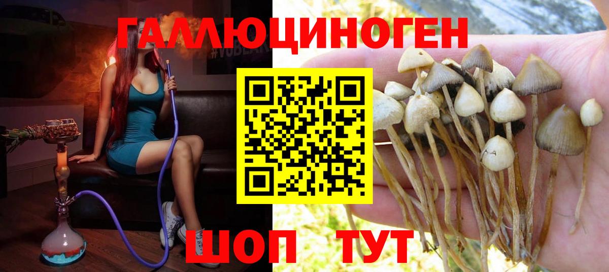 Псилоцибиновые грибы MAGIC MUSHROOMS Белебей